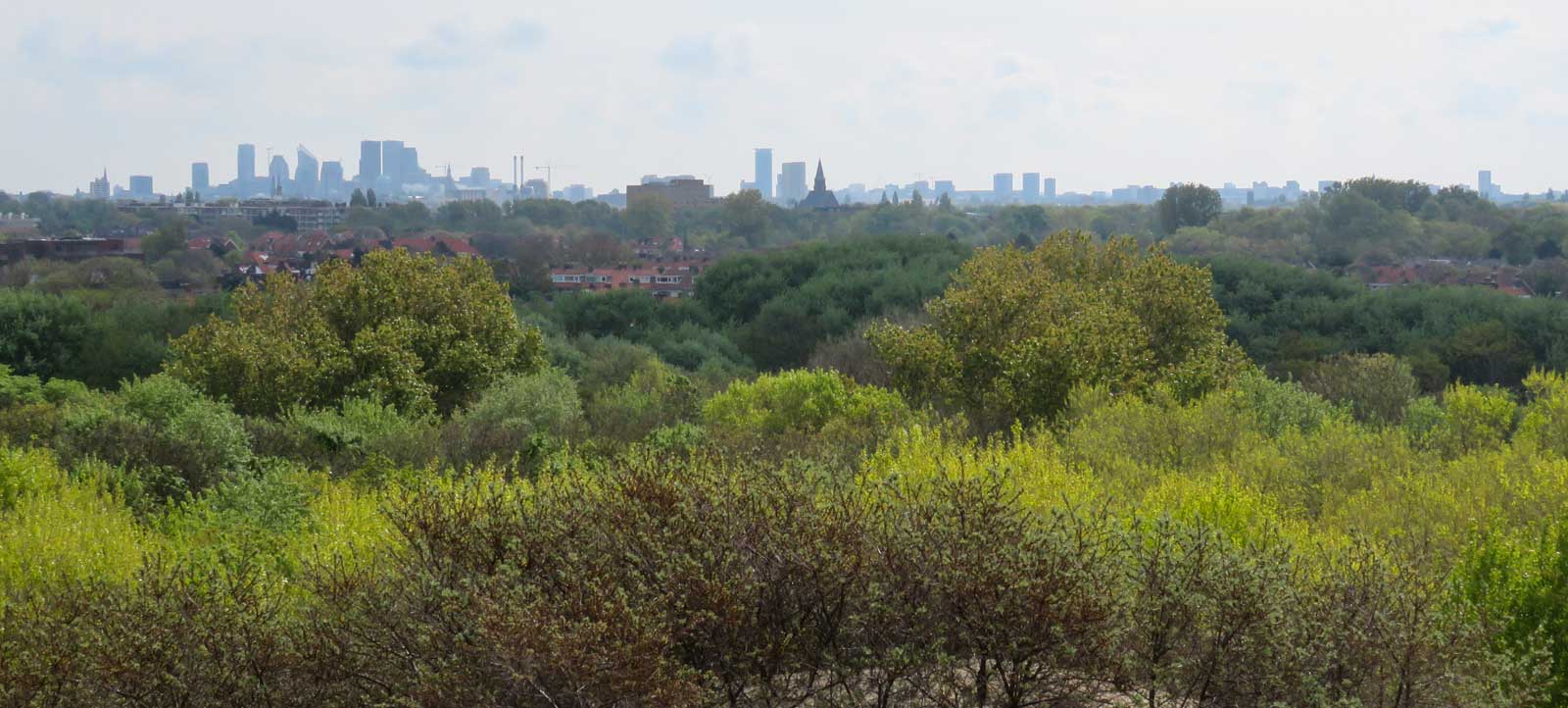 Duinen