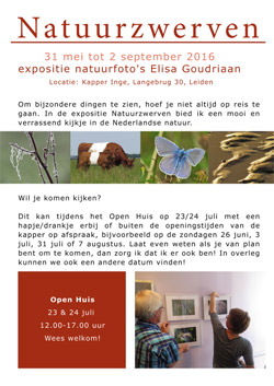 Expositie Natuurzwerven